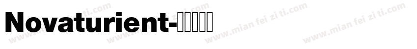 Novaturient字体转换