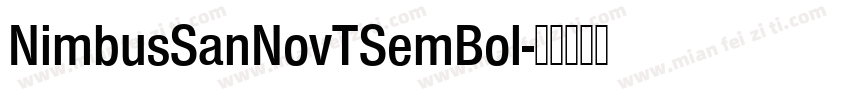 NimbusSanNovTSemBol字体转换