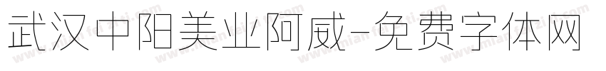 武汉中阳美业阿威字体转换