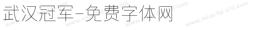 武汉冠军字体转换