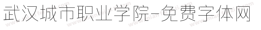 武汉城市职业学院字体转换