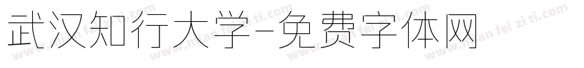 武汉知行大学字体转换
