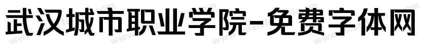 武汉城市职业学院字体转换