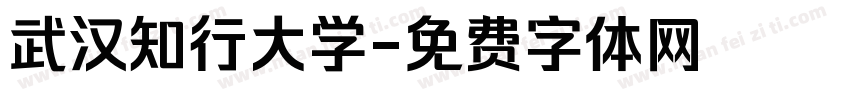 武汉知行大学字体转换
