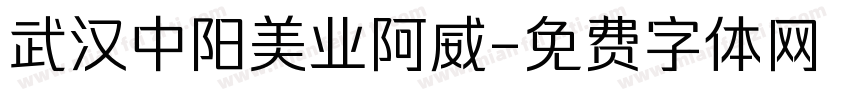 武汉中阳美业阿威字体转换