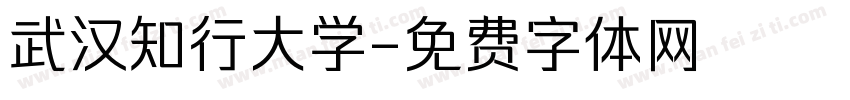 武汉知行大学字体转换