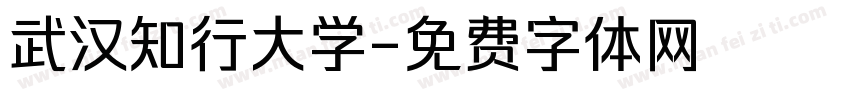 武汉知行大学字体转换