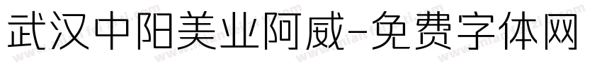 武汉中阳美业阿威字体转换