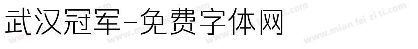 武汉冠军字体转换