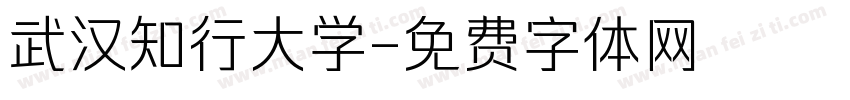 武汉知行大学字体转换