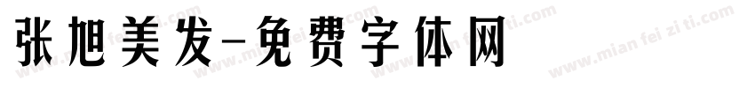 张旭美发字体转换