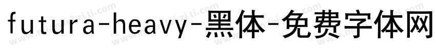 futura-heavy-黑体字体转换