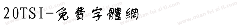 20TSI字体转换