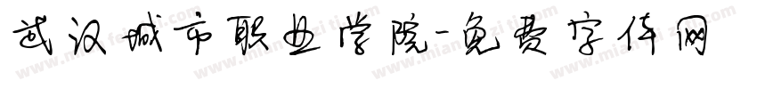 武汉城市职业学院字体转换