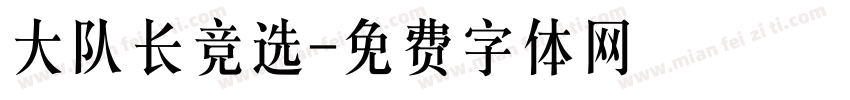 大队长竞选字体转换