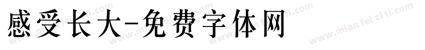 感受长大字体转换