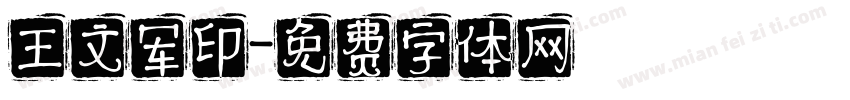 王文军印字体转换