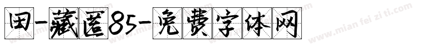 田-藏匿85字体转换