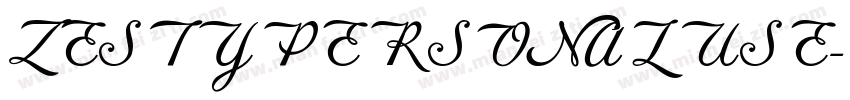 ZESTYPERSONALUSE字体转换