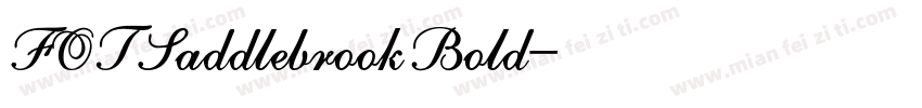 FOTSaddlebrookBold字体转换