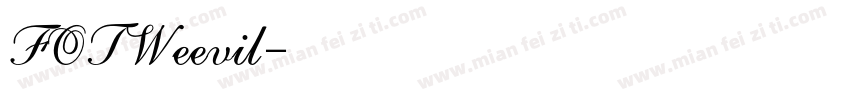 FOTWeevil字体转换