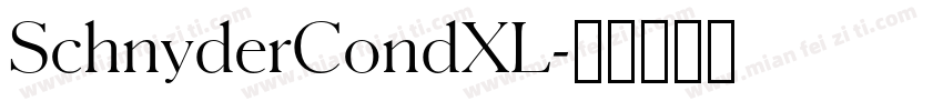 SchnyderCondXL字体转换