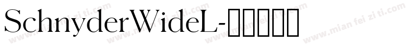 SchnyderWideL字体转换