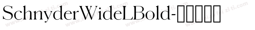 SchnyderWideLBold字体转换