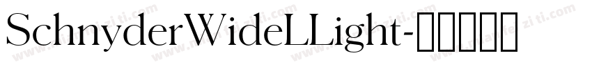 SchnyderWideLLight字体转换