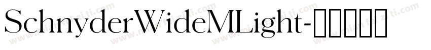 SchnyderWideMLight字体转换