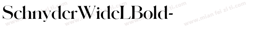 SchnyderWideLBold字体转换