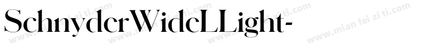 SchnyderWideLLight字体转换