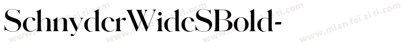 SchnyderWideSBold字体转换