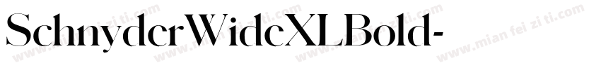 SchnyderWideXLBold字体转换
