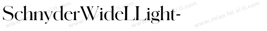 SchnyderWideLLight字体转换