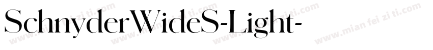 SchnyderWideS-Light字体转换