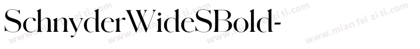SchnyderWideSBold字体转换