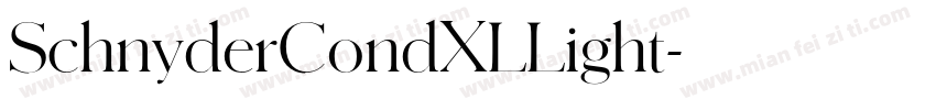 SchnyderCondXLLight字体转换