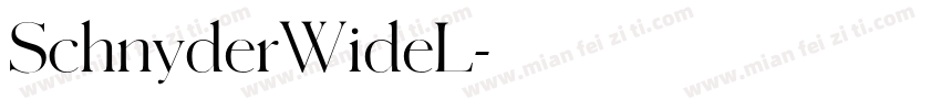 SchnyderWideL字体转换