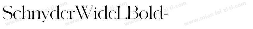 SchnyderWideLBold字体转换