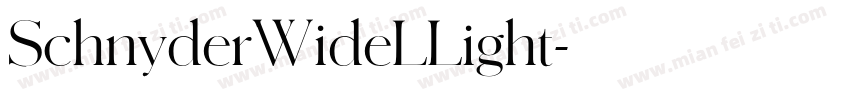 SchnyderWideLLight字体转换