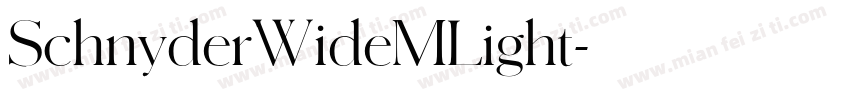 SchnyderWideMLight字体转换