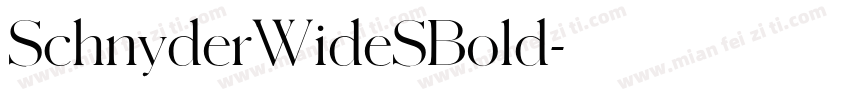 SchnyderWideSBold字体转换