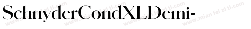 SchnyderCondXLDemi字体转换