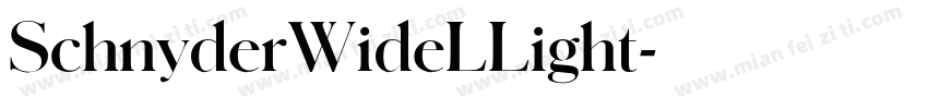 SchnyderWideLLight字体转换