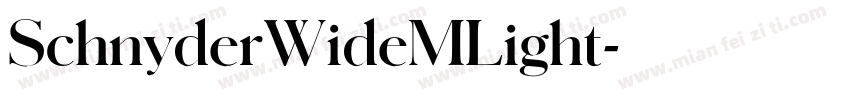 SchnyderWideMLight字体转换