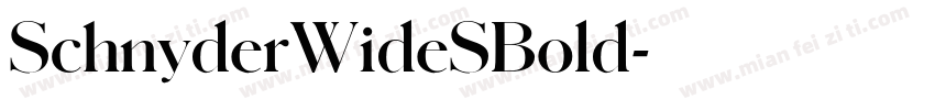 SchnyderWideSBold字体转换