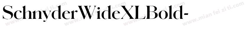 SchnyderWideXLBold字体转换
