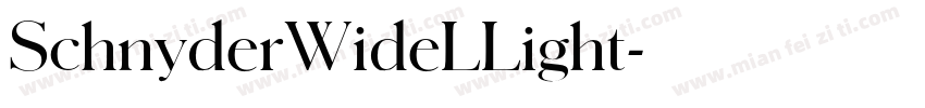 SchnyderWideLLight字体转换