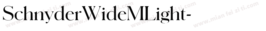 SchnyderWideMLight字体转换